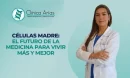 Las células madre son un excelente aliado para la longevidad